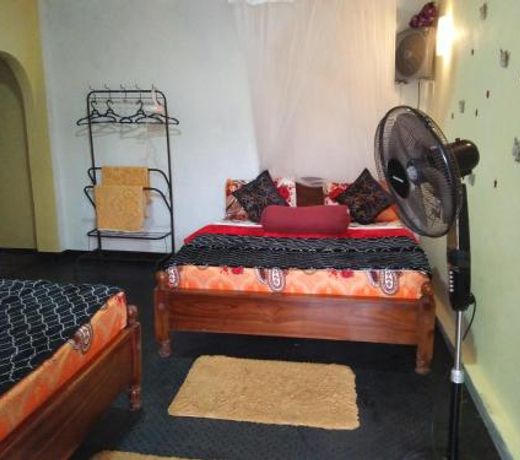 Ella Forest Eco View