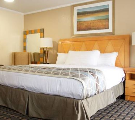 Mount Royal Inn