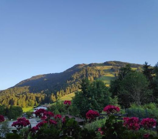 Appartement Unterbergblick