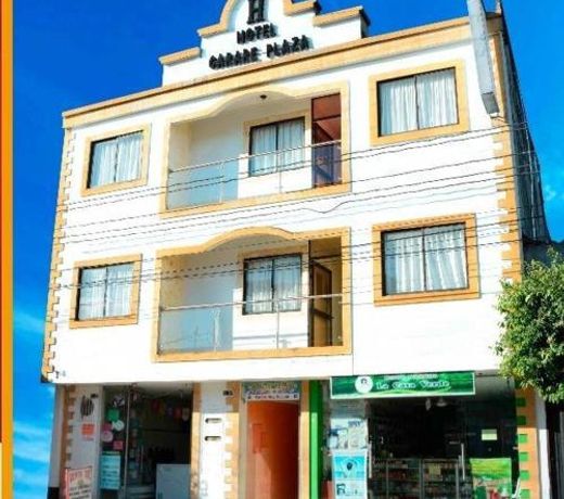 Hotel Carare Plaza