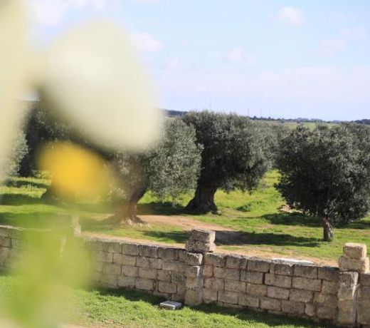 Masseria Cuturi