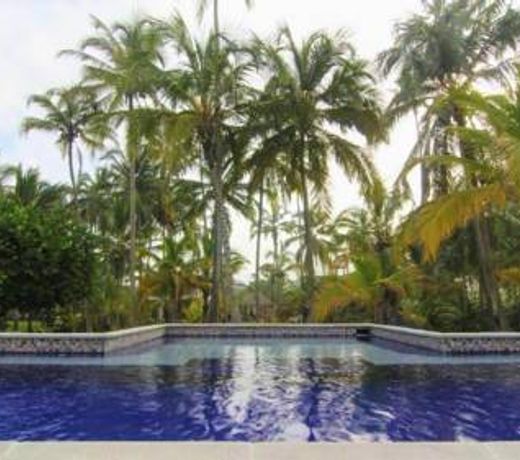 Blue Mango Beach Hotel