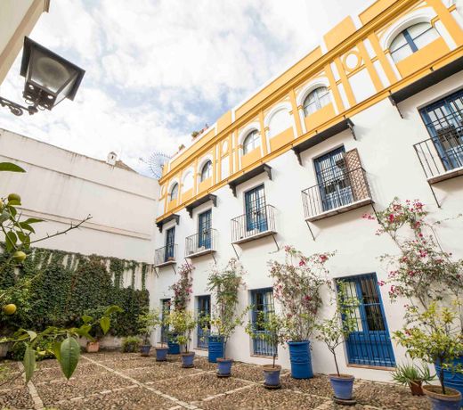 Precioso apartamento en Barrio de Santa Cruz