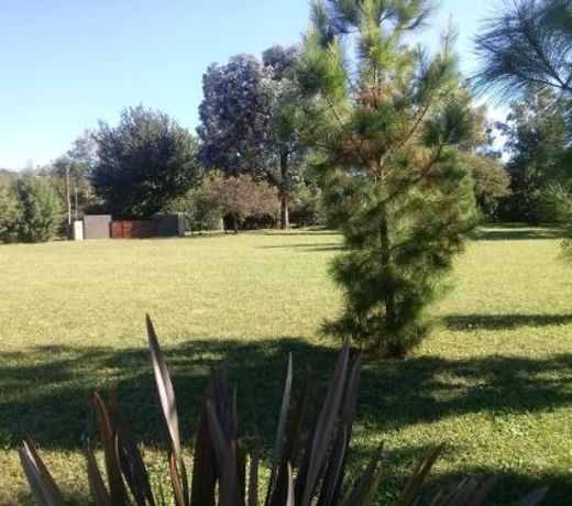 cabaÃ±as Tierra Kamiare 1
