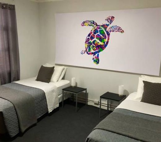 Turtle Saving Hostel