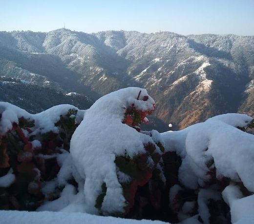 Spangle Heights - Shimla, Suites & Residences