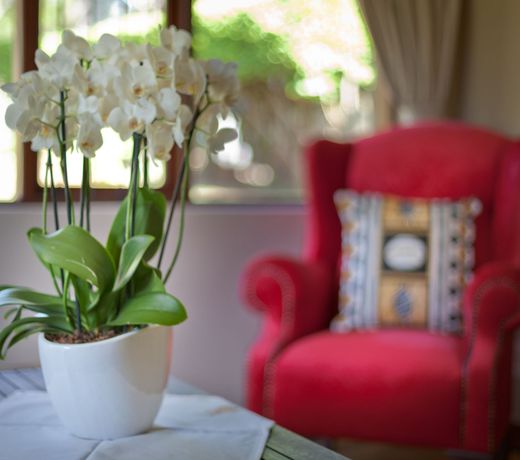 Twin Thorns Guesthouse