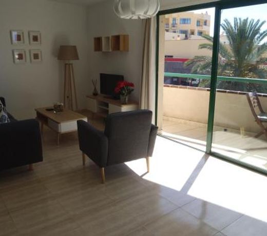 Clara's sun apt