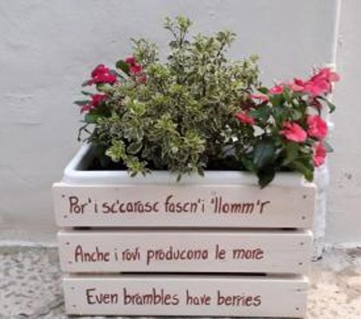 Il Vicolo b&b