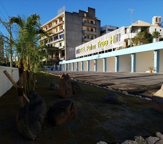 Hotel Palm Tree Hill