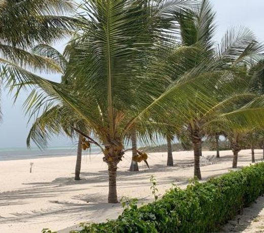 Life Resort St. Thomas Royal Palm