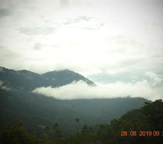 Munnar Summer Castle