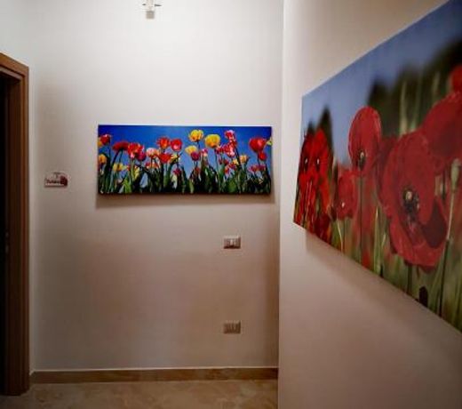 FIORI E COLORI