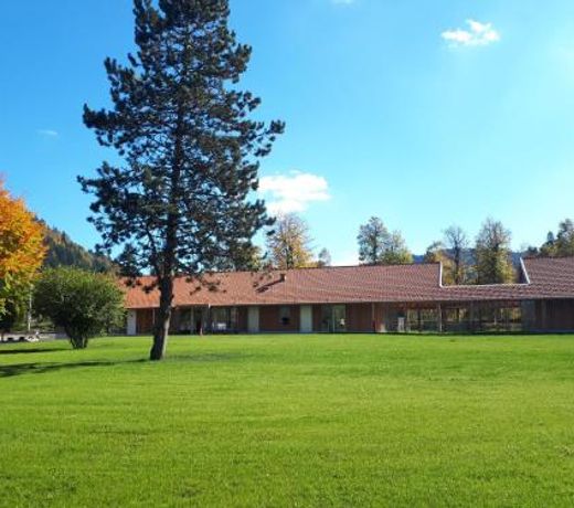 Camping Le Domaine de Longemer