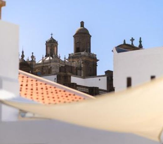Open Air Historic Penthouse Vegueta