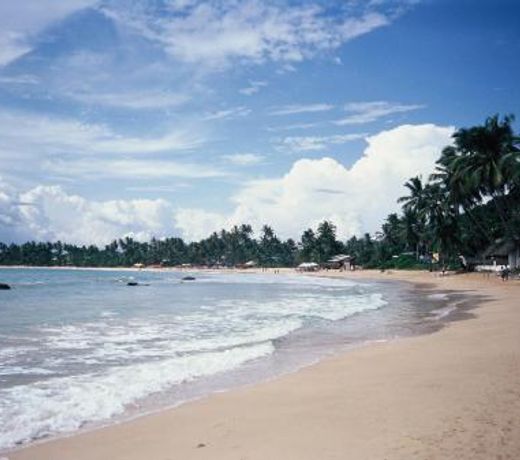 Surf Sea Breeze Apartments