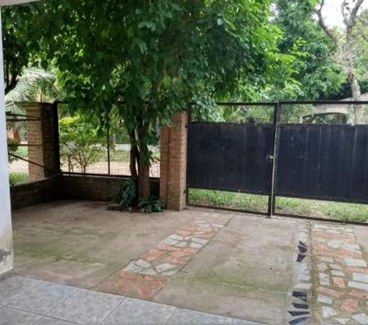 La Tribu