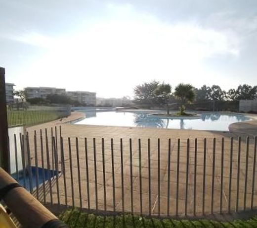 Lomas de Papudo 2