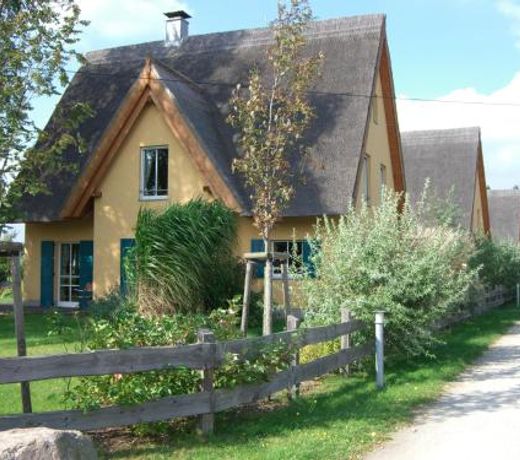 Reetdachhaus mit Schwimmteich in Krienke