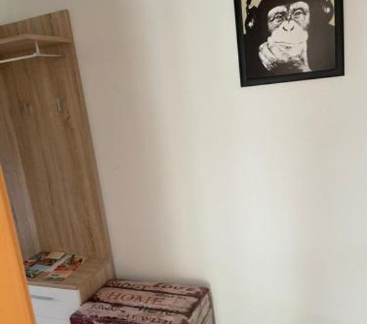 Private Wohnung Bunter Hund