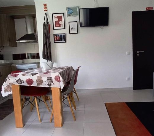Friendly Peniche Apartment