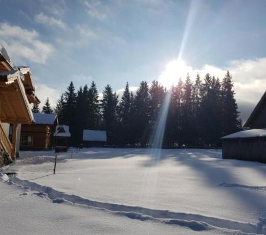 Apartments Chalet Girska Hatyna