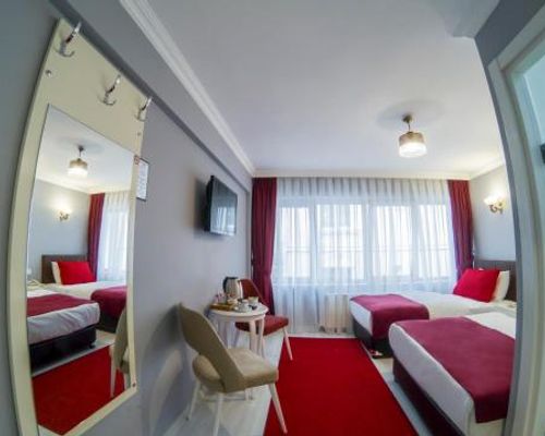 Sirkeci Family Hotel - Стамбул - фото 3