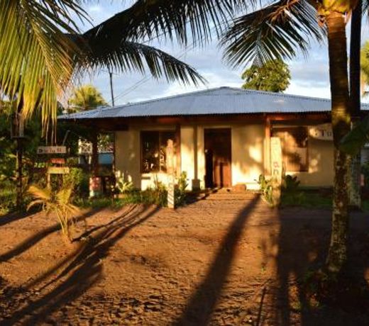 Casa turtle Bogue