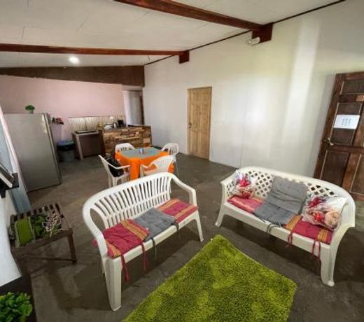 Casa turtle Bogue