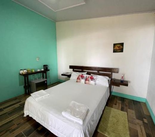 Casa turtle Bogue