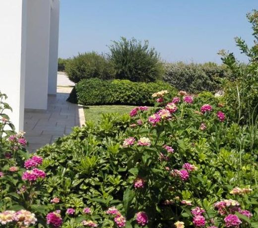 Villa Maria