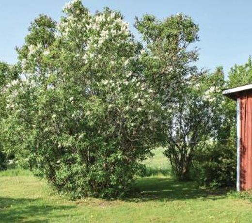 Stunning home in Virserum with 1 Bedrooms and WiFi