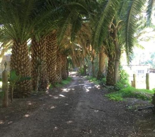 La Casa del Molino de Viento