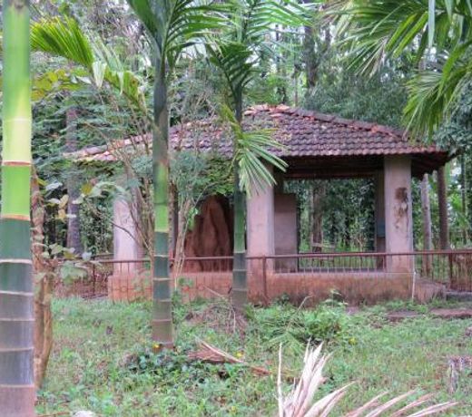 Sugamya Farm Guesthouse