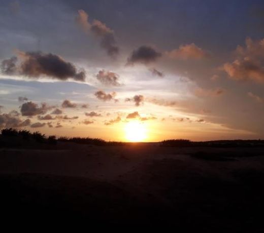 Golden Dunas