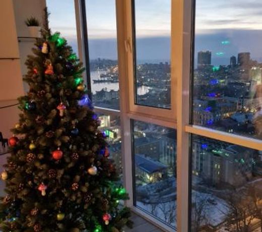 HOUSE WITH LOVELY VIEW IN VLADIVOSTOK !