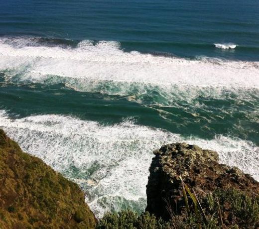 Piha Tiny House