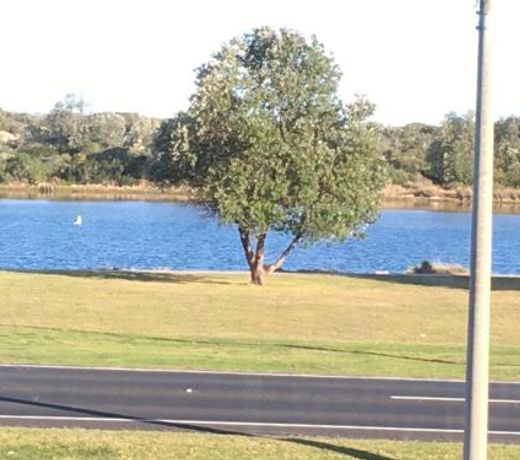Villa by the Lake