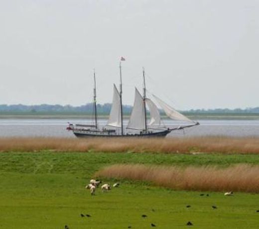 Auszeit am Elbdeich in Sankt Margarethen