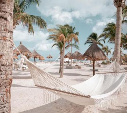 Blue Holbox