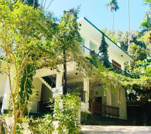 Misty Elegance - Ella.