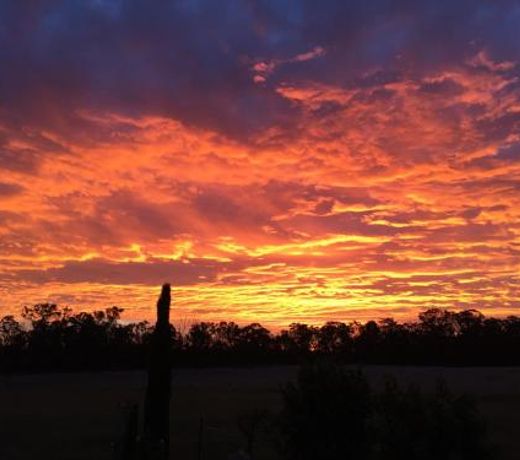 Serenity on Stanthorpe