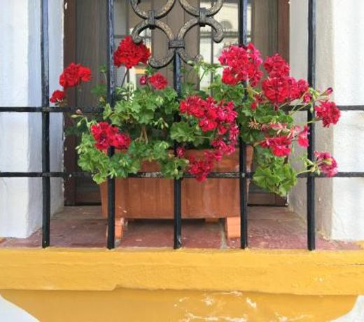 La Escondida Ronda, B&B
