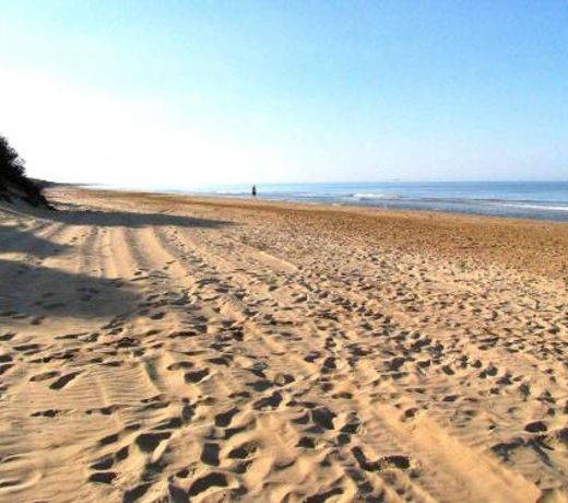 Sariva Villa CaseSicule - heated Pool, Beach at 50 m
