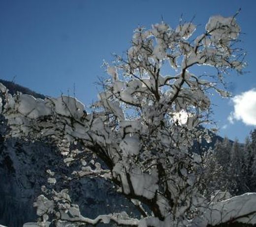 Des Alpes 2