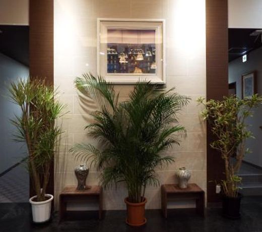 World Yanagishima Hotel