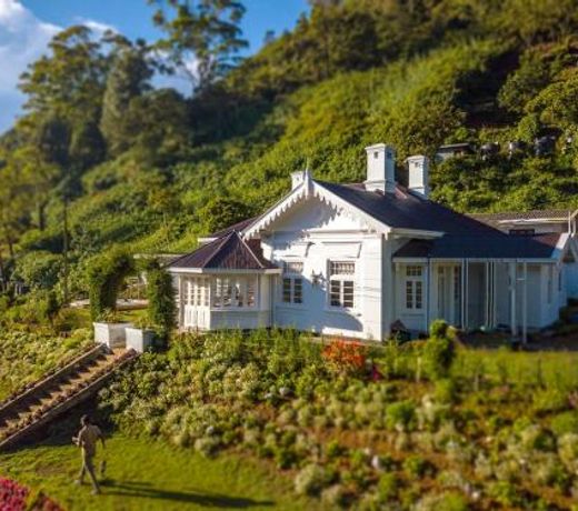 The Clovelly Bungalow