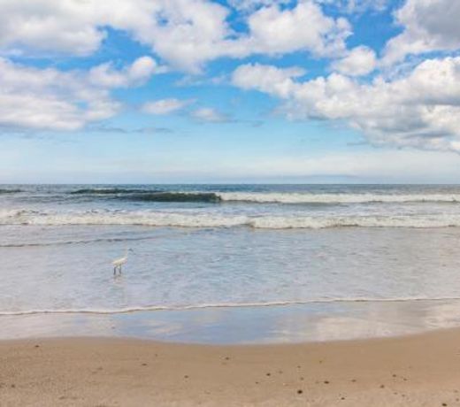 Beach Daze, 4 Bedrooms, Private Heated Pool, Pets, WiFi, Hot Tub, Sleeps 11
