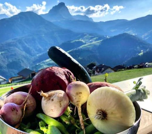 Alpinus Agriturism
