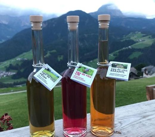 Alpinus Agriturism